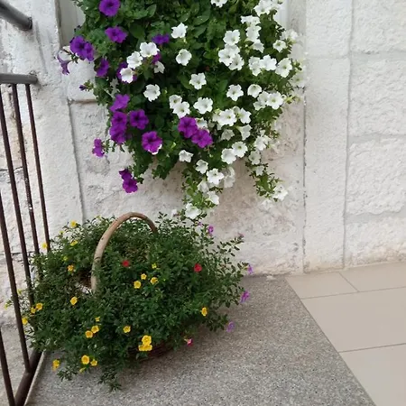 Apartman Sime