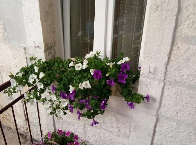 Sime * Trogir